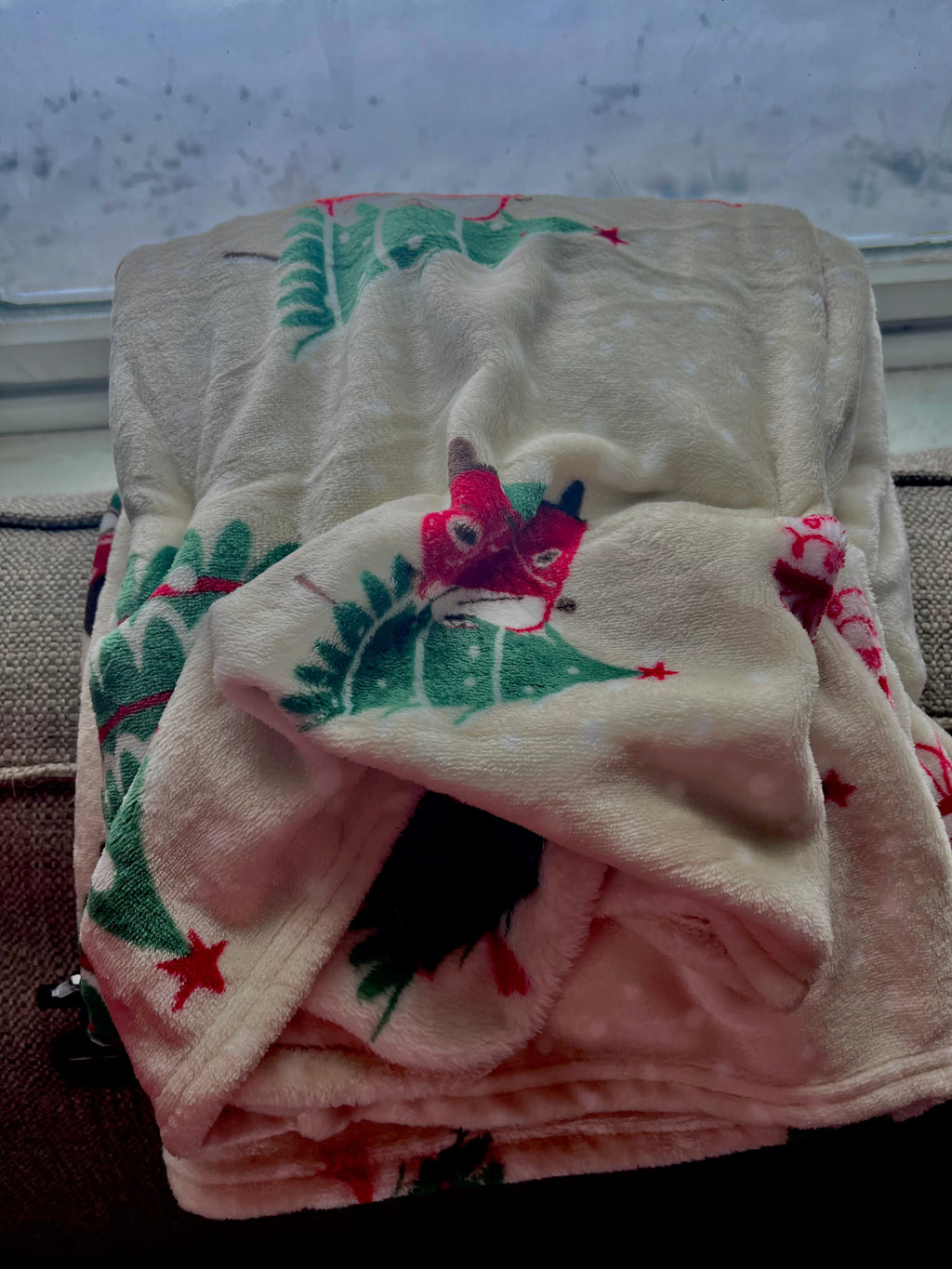 Holiday Truck Plush Throw Blanket