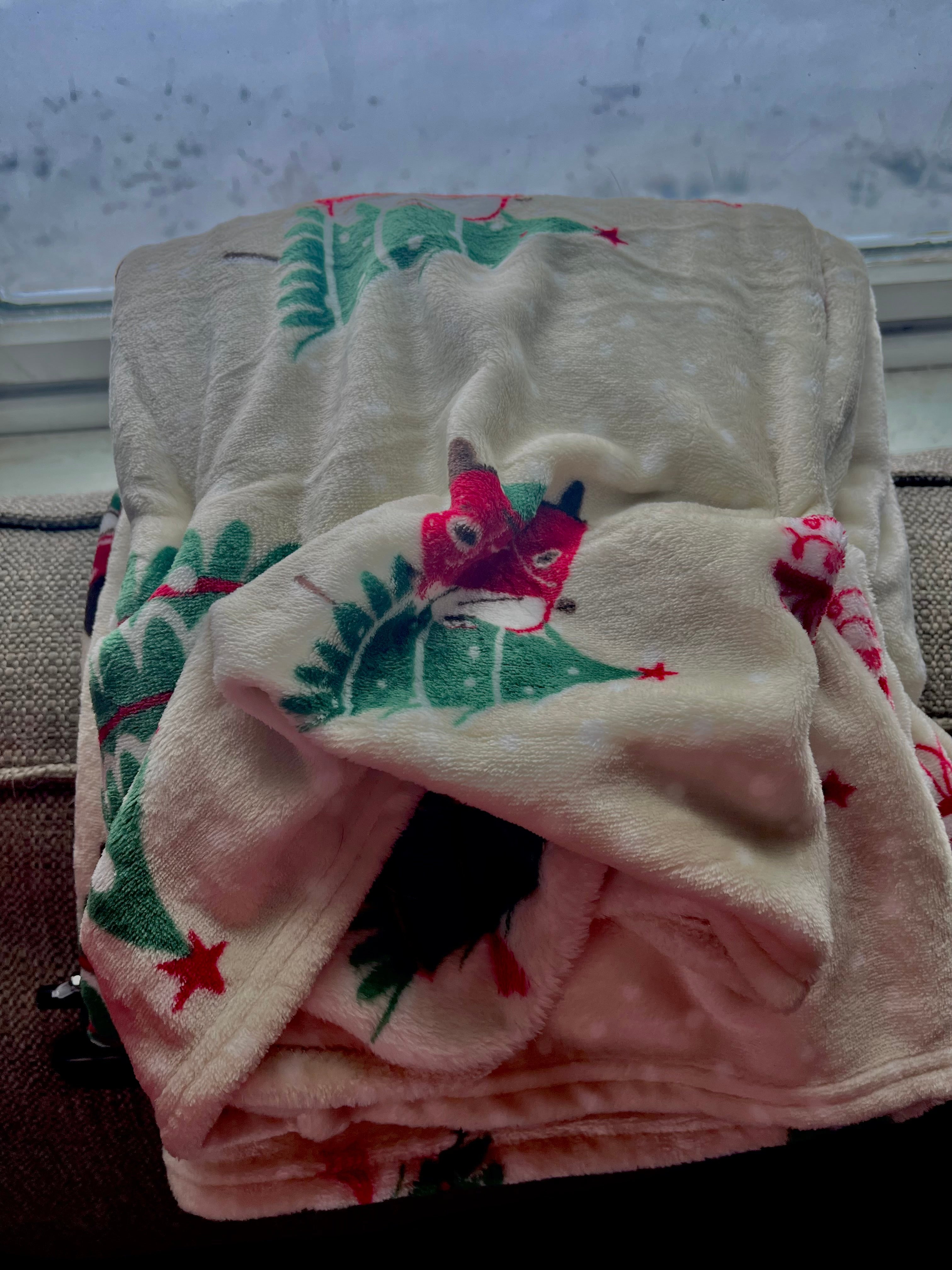 Holiday Truck Plush Throw Blanket