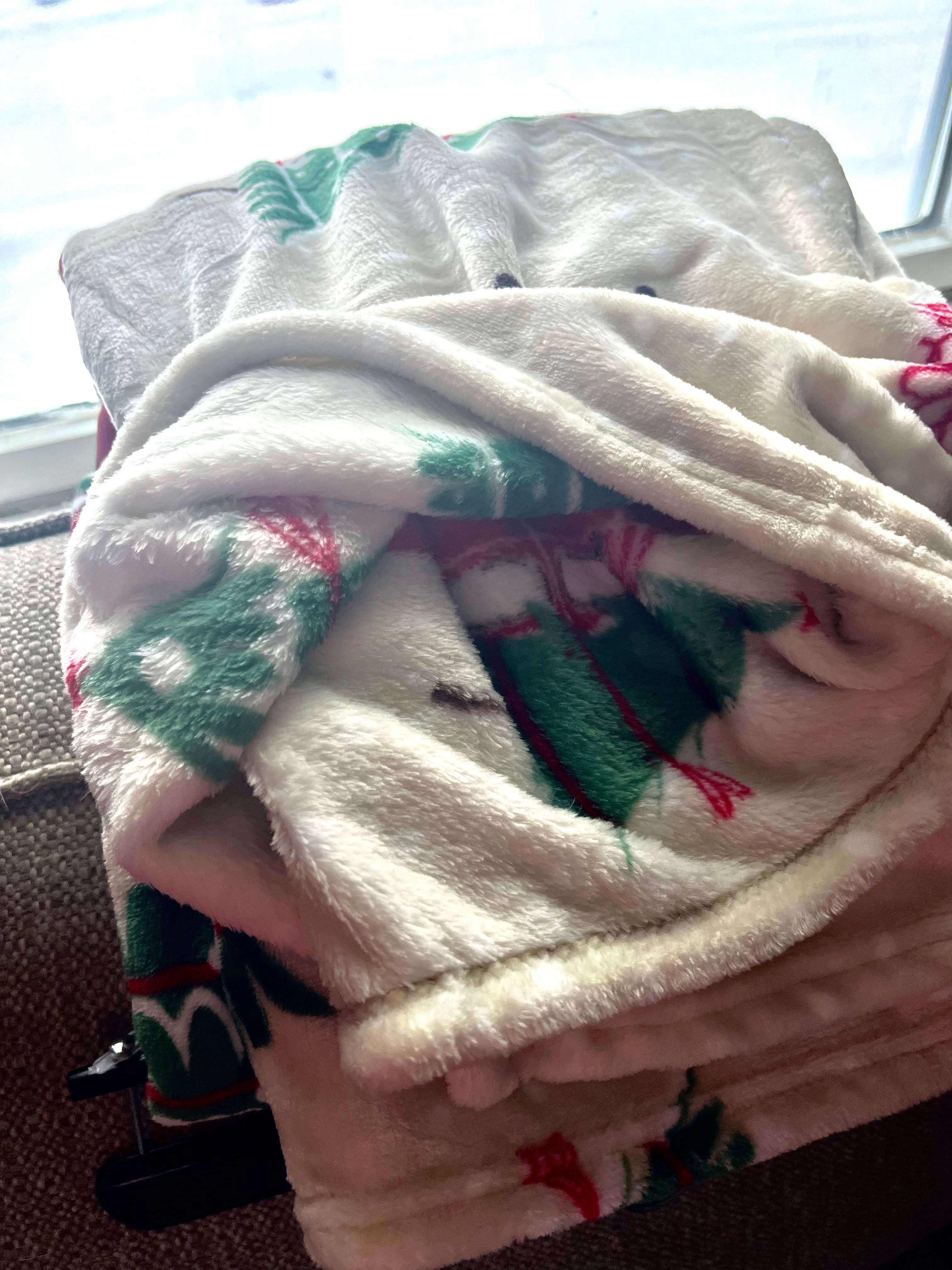 Holiday Truck Plush Throw Blanket